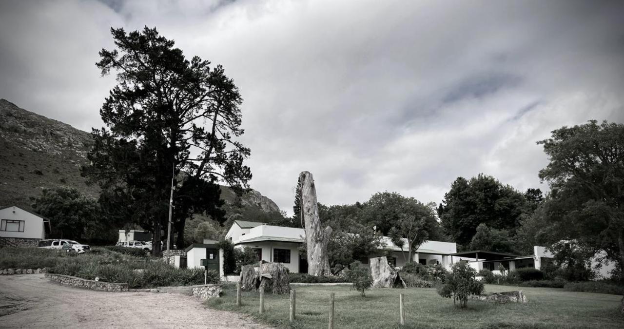 The Volmoed Trust Villa Hermanus Bagian luar foto