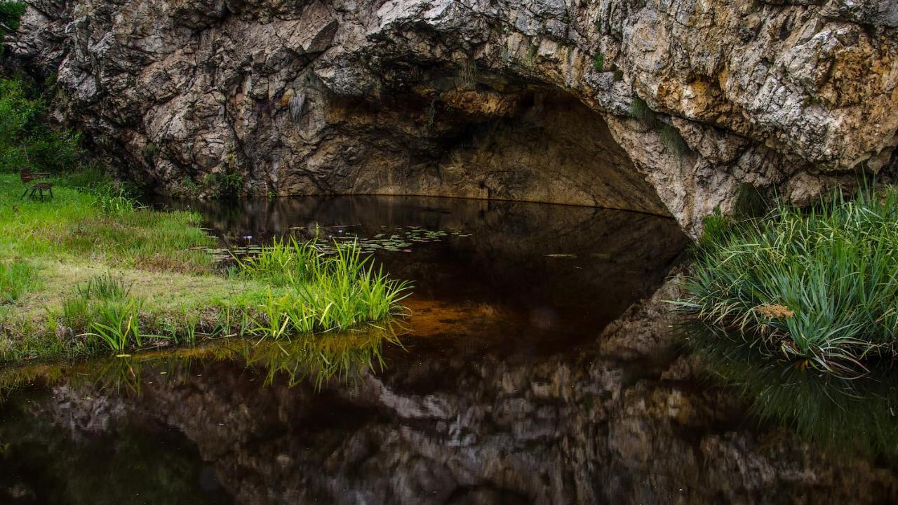 The Volmoed Trust Villa Hermanus Bagian luar foto
