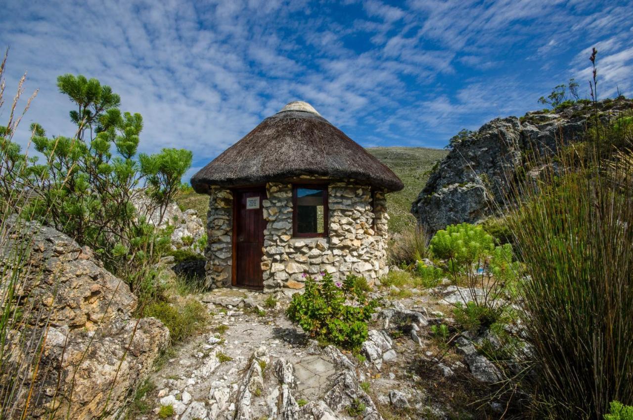 The Volmoed Trust Villa Hermanus Bagian luar foto