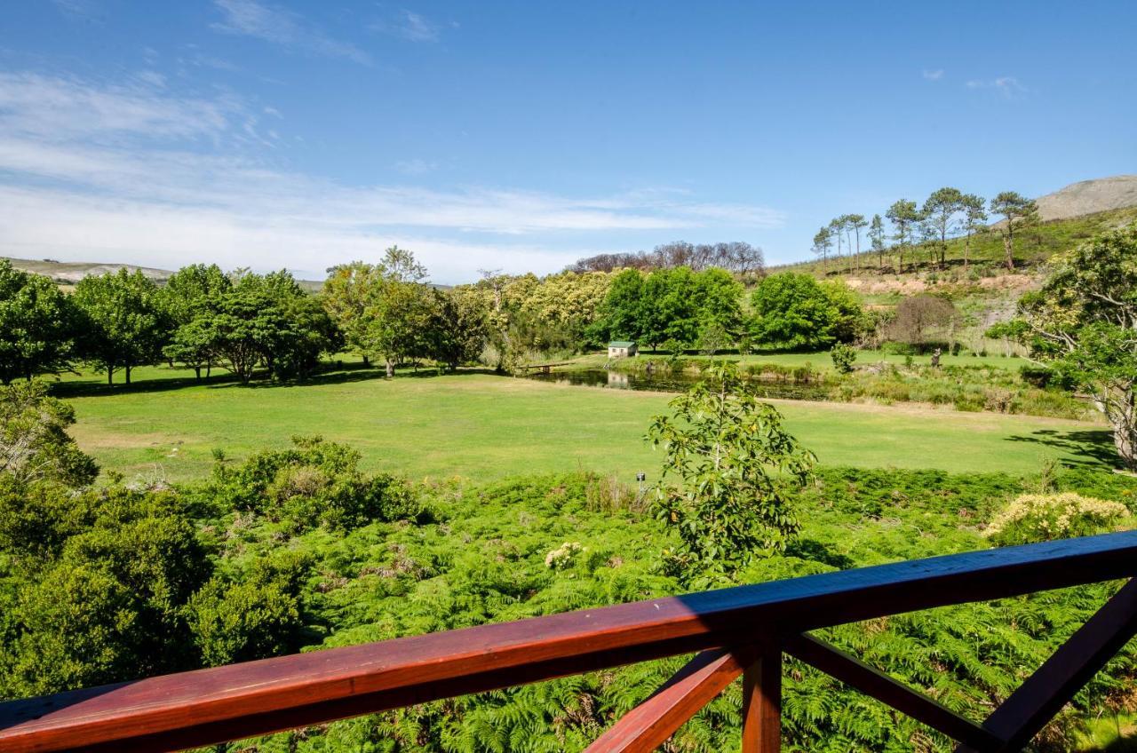 The Volmoed Trust Villa Hermanus Bagian luar foto